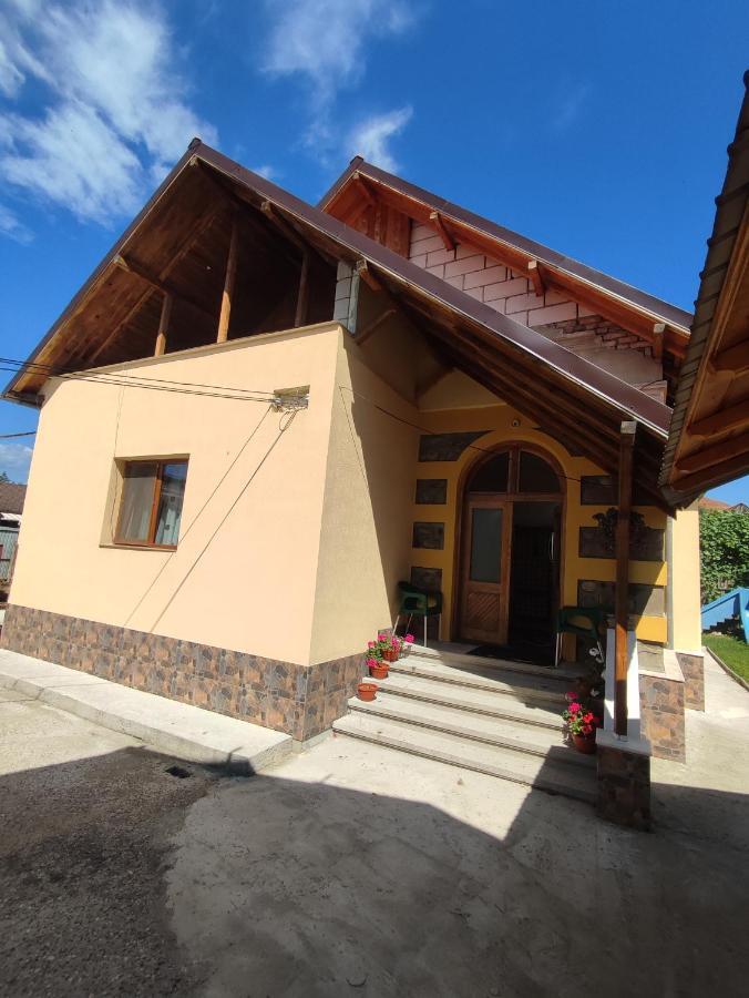 Central House Hotel Curtea de Argeş Buitenkant foto